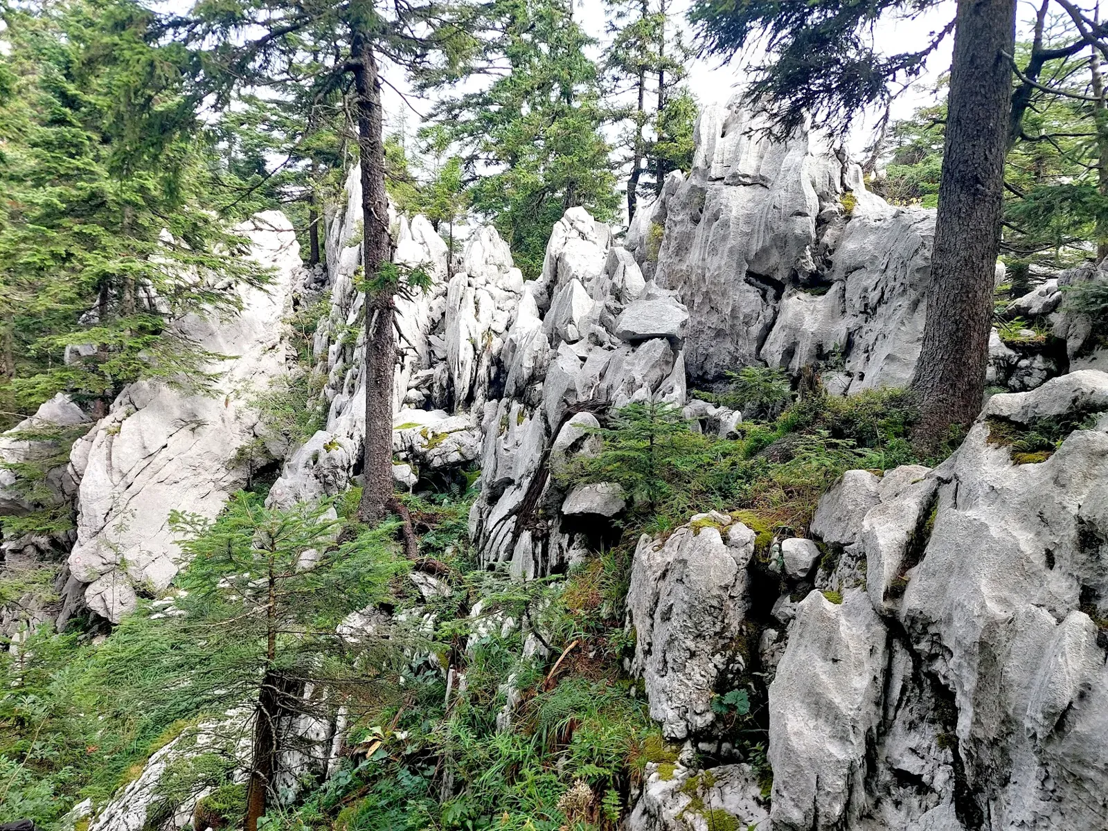 Stjenoviti krajolik na Vihoraškom putu