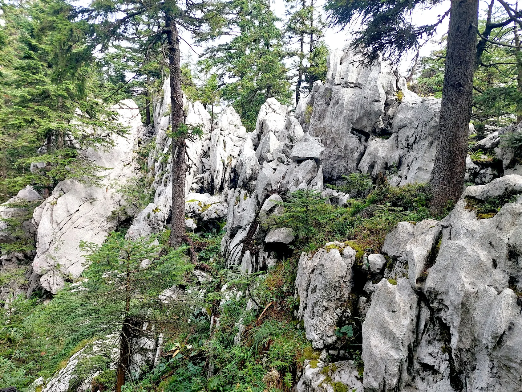 Stjenoviti krajolik na Vihoraškom putu